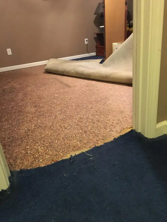Carpet pad removal revealing water damage during Drying & Dehumidification in Genoa